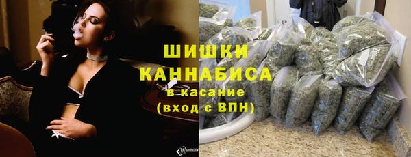 дмт Вяземский