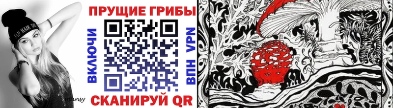 ссылка на мегу как войти Дудинка Псилоцибиновые грибы прущие грибы